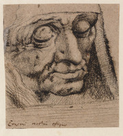 M+ 004
<br/>
Doodsportret van Erasmus
<br/>
<em>Holbein, Hans (II) (1497/1498-1543)</em>